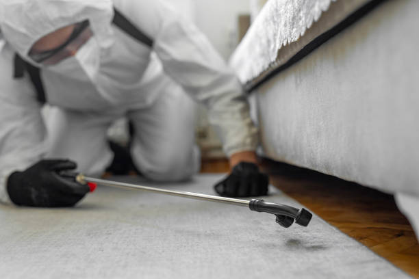 Professional Bed Bug Control technician working in Riverbend, WA