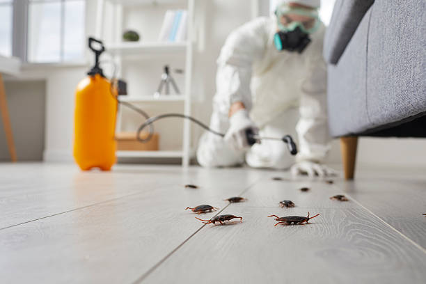 Trusted Cockroach Control service in Riverbend, WA - Nex Pest Control