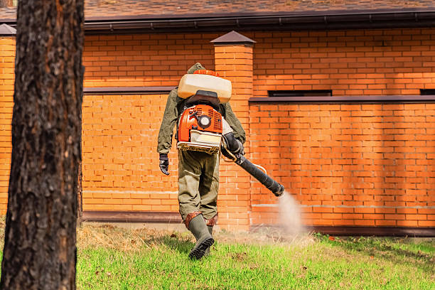 Trusted Rodent Control service in Riverbend, WA - Nex Pest Control